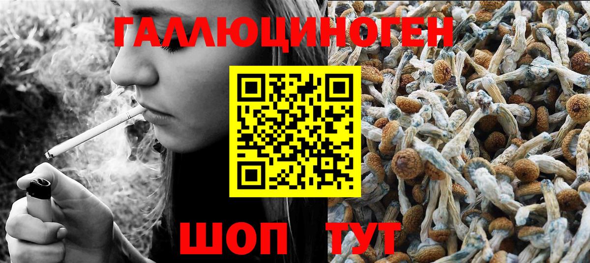 Галлюциногенные грибы мицелий  Вход с VPN  Сочи  Псилоцибиновые грибы Psilocybine cubensis 